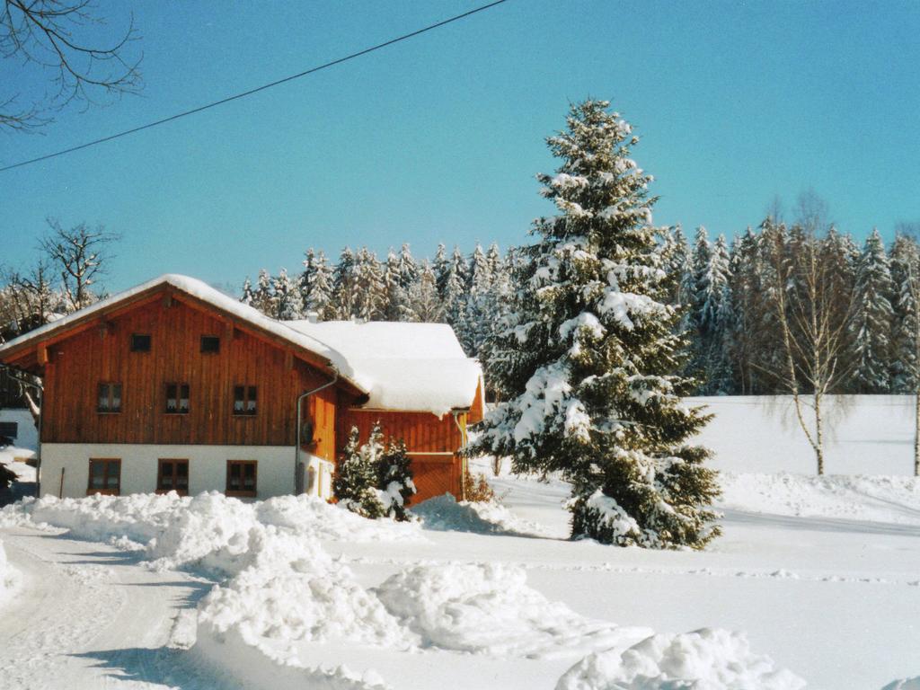 Lovely Holiday Home In Viechtach Near The Forest Exterior photo